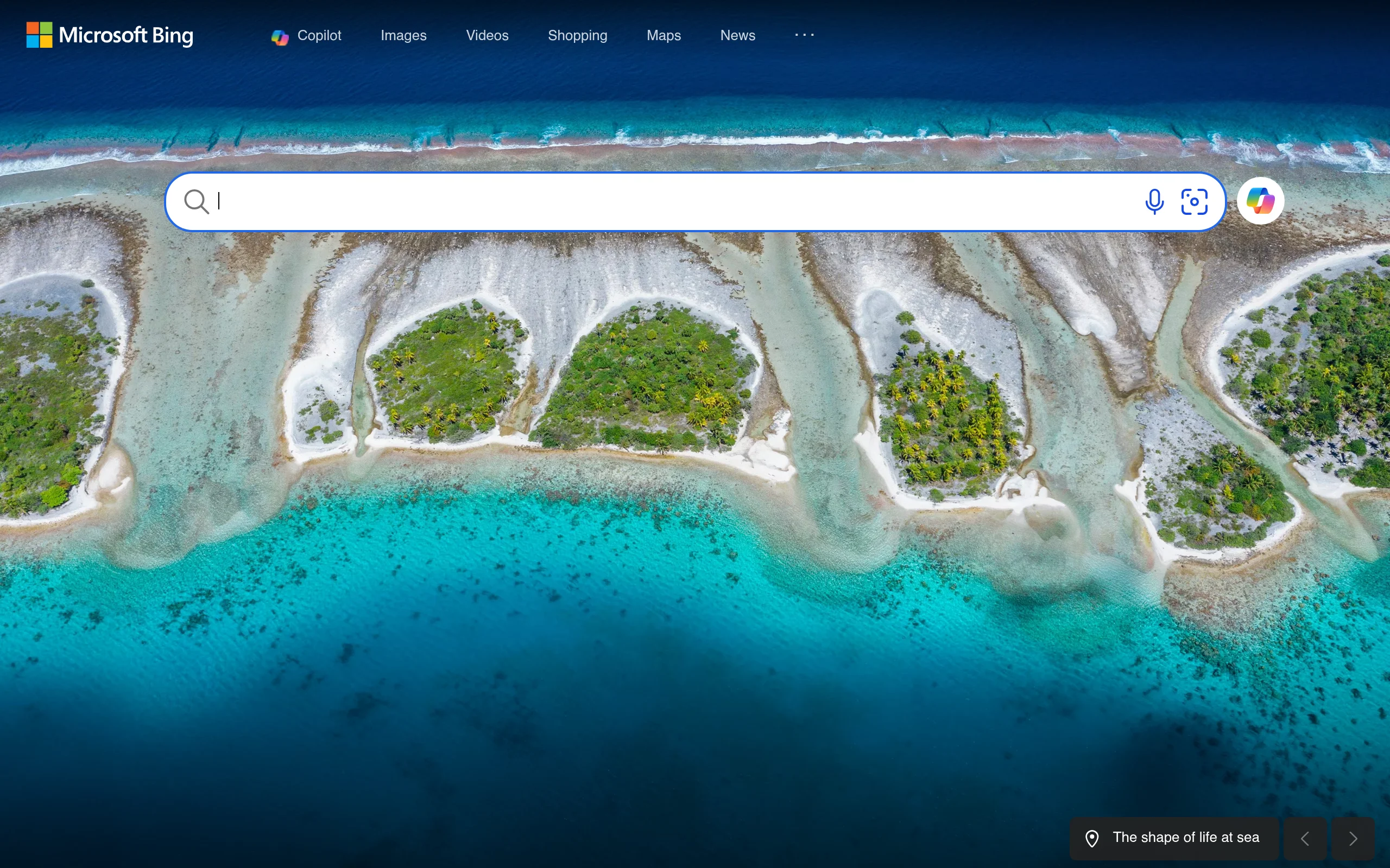 Microsoft Bing